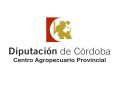 Diputacion Cordoba