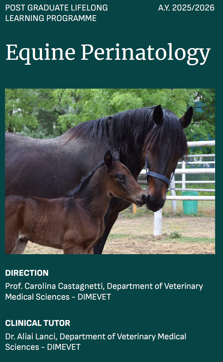 Equine Perinatology — Lifelong Learning Programme
