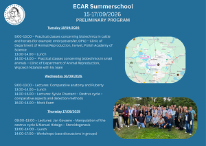 Flyer Summer School Updated
